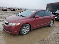 Honda Civic salvage cars for sale: 2009 Honda Civic LX