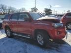 2024 Toyota 4runner SR5/SR5 Premium