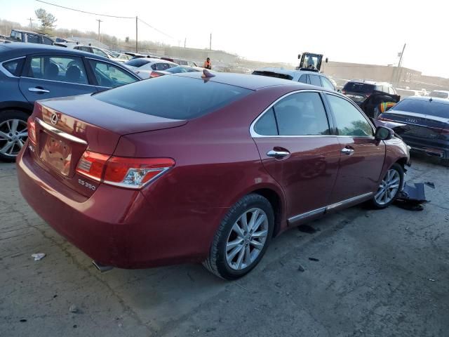 2010 Lexus ES 350