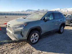 Carros salvage a la venta en subasta: 2021 Toyota Rav4 XLE