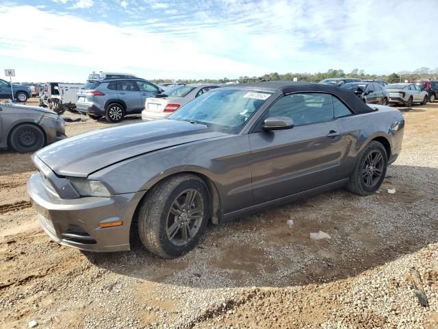 2013 Ford Mustang