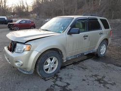 2011 Ford Escape XLT en venta en Marlboro, NY