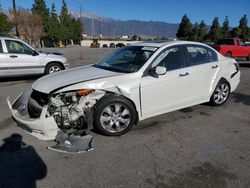 Honda Accord salvage cars for sale: 2009 Honda Accord EXL