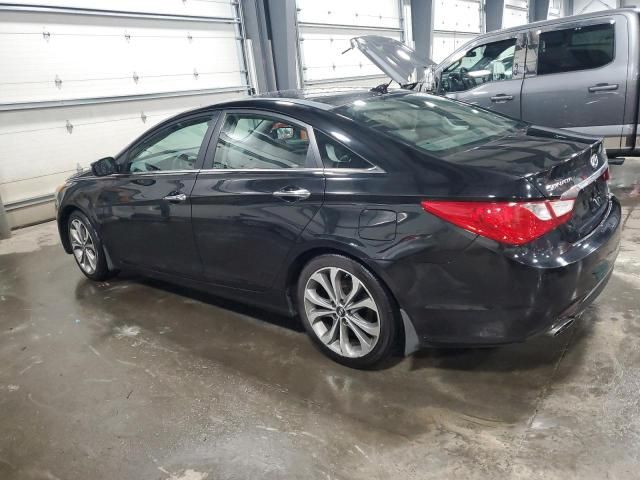 2013 Hyundai Sonata SE