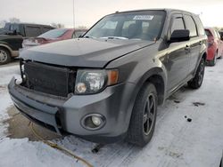 Ford salvage cars for sale: 2012 Ford Escape XLT