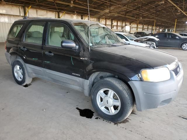 2001 Ford Escape XLT