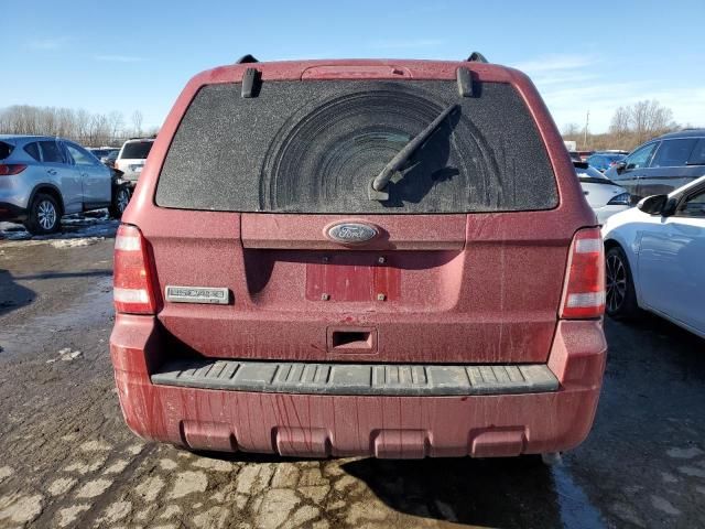 2010 Ford Escape XLT