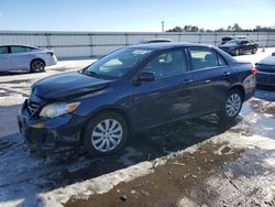 Salvage cars for sale at Fredericksburg, VA auction: 2013 Toyota Corolla Base