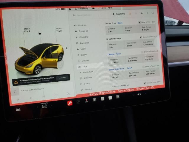 2023 Tesla Model Y