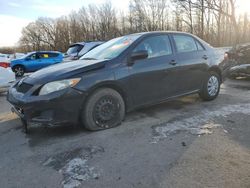 2010 Toyota Corolla Base en venta en Glassboro, NJ