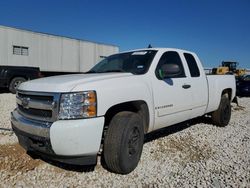 Salvage cars for sale at Taylor, TX auction: 2008 Chevrolet Silverado C1500