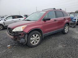 Honda salvage cars for sale: 2007 Honda CR-V EX