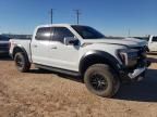 2024 Ford F150 Raptor