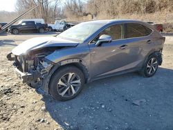 Lexus salvage cars for sale: 2019 Lexus NX 300 Base