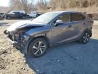 2019 Lexus NX 300 Base