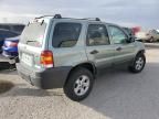 2007 Ford Escape XLT