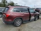 2019 Honda Pilot EXL