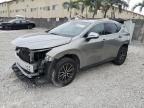 2024 Lexus NX 250 Base