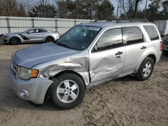 2010 Ford Escape XLT