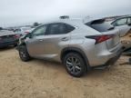 2020 Lexus NX 300 F Sport