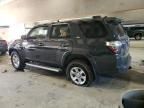 2024 Toyota 4runner SR5/SR5 Premium