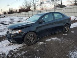 Salvage cars for sale at New Britain, CT auction: 2013 KIA Forte EX