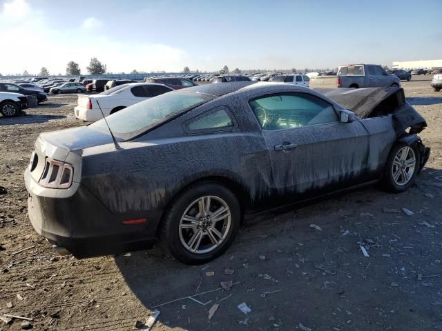 2014 Ford Mustang