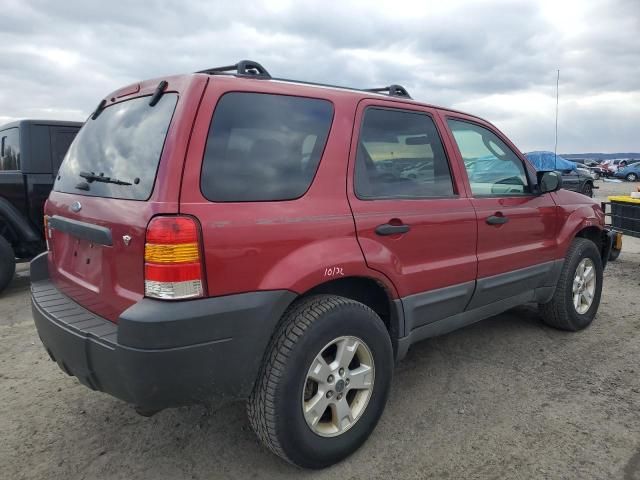 2005 Ford Escape XLT