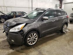 Salvage cars for sale at Avon, MN auction: 2015 Ford Escape SE