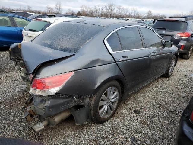 2011 Honda Accord EXL