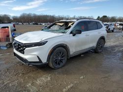 Salvage cars for sale at Conway, AR auction: 2023 Honda CR-V Sport