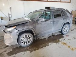 Salvage cars for sale at Lexington, KY auction: 2020 Toyota Rav4 XLE Premium