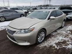 Salvage cars for sale at Elgin, IL auction: 2013 Lexus ES 300H