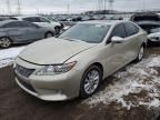 2013 Lexus ES 300H