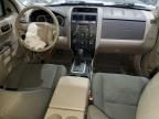 2009 Ford Escape XLS