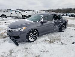 Salvage cars for sale at Walton, KY auction: 2016 Honda Accord EX