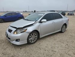 Salvage cars for sale at New Braunfels, TX auction: 2010 Toyota Corolla Base