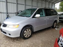 2002 Honda Odyssey EXL en venta en Midway, FL