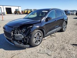 Salvage cars for sale at Lumberton, NC auction: 2020 Ford Escape SEL