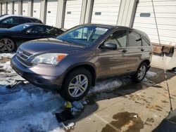 Salvage SUVs for sale at auction: 2011 Honda CR-V EX