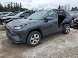 Toyota rav4 salvage cars for sale: 2019 Toyota Rav4 LE