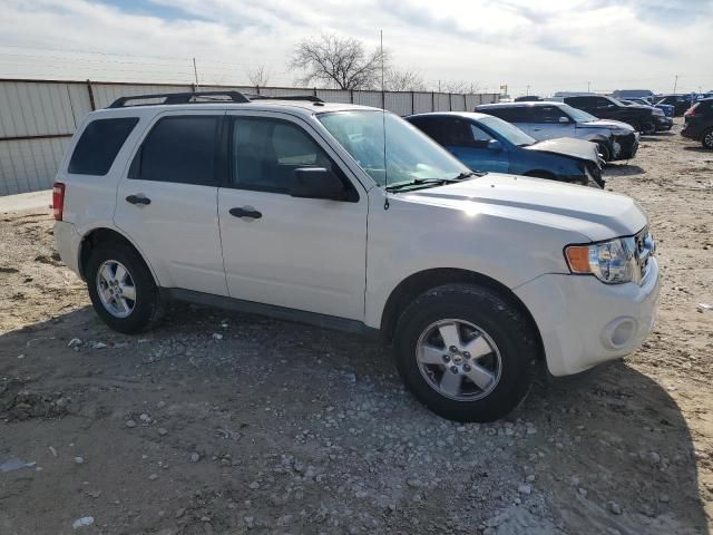 2012 Ford Escape XLT