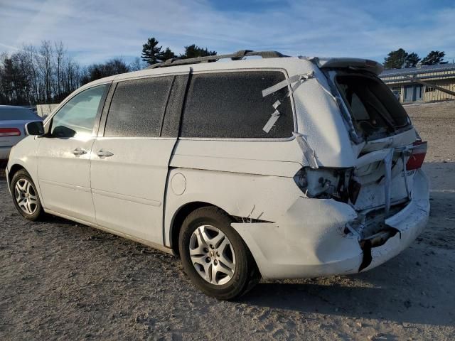 2005 Honda Odyssey EXL