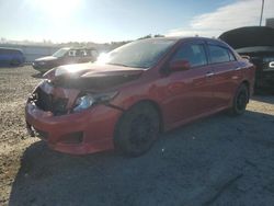 2010 Toyota Corolla Base en venta en Fredericksburg, VA