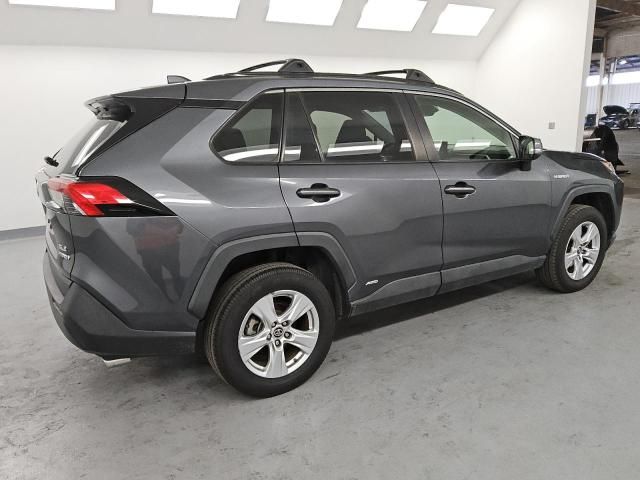 2019 Toyota Rav4 XLE