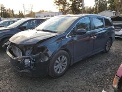 Honda Odyssey exl salvage cars for sale: 2014 Honda Odyssey EXL