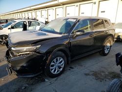 Salvage cars for sale at Louisville, KY auction: 2025 Honda CR-V LX