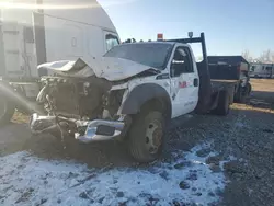 Salvage trucks for sale at Elgin, IL auction: 2016 Ford F450 Super Duty