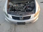 2010 Honda Accord LXP