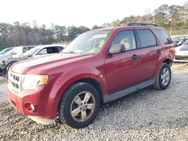 2011 Ford Escape XLT